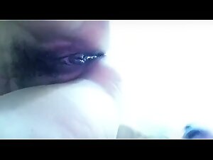 Una jauria de perros emocionantes