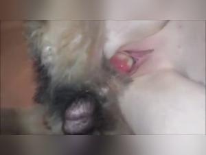 Bitch and Her Humans: Four-Legged Orgies
