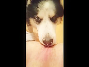 Woman and her dog: a forbidden relationship