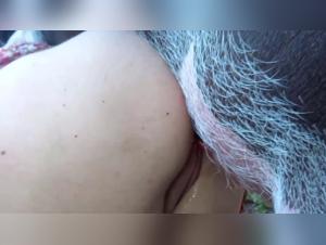 Bestialidad en la criada de Nueva York, un impresionante episodio de sexo animal