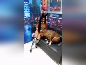 Zoophilie Hardcore: Catwoman soumise au désir canin