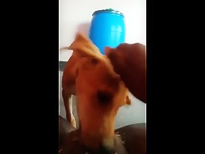 I migliori video porno del mondo con donne e cani asiatici