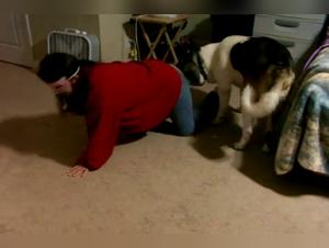 Explore the Wild Side: Rough Animal Sex