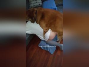 Dog Fucks Latina Blonde: Savage Bestiality