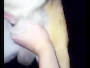 Dog Cum - Extreme Bestiality Video