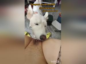 Explosions of Animal Power: Chinese Debauchery Revelation