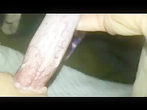 Adolescente traviesa de noche con un perro