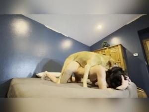 Bestalistische Kostlichkeiten: Amateur und sein Hund