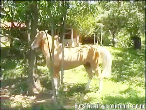 Horse Milly 1: una emocionante experiencia de bestialidad