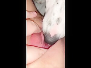 Hund leckt die Intimitat einer jungen Frau