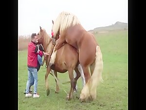Horse2 - Un encuentro bestial e intenso