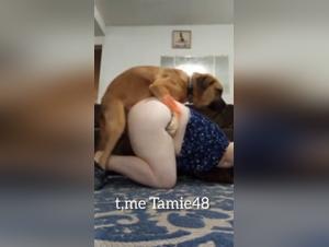 Mi culo graso, el juguete salvaje del perro