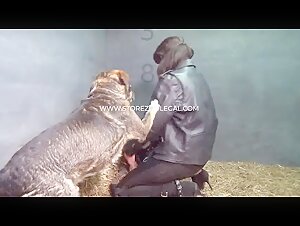 Yasming, the all-consuming passion for dogs