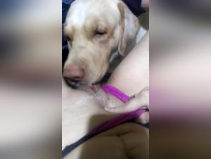 Hungry Hound: First round, she enjoys the canine cuddle