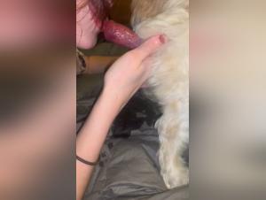 Pampered Puss, a Girl Goes Wild on a Little Bitch
