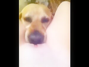 Mein Hund