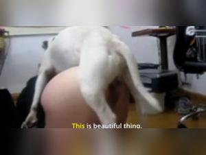 Sumision canina, voz erotica y deseos exacerbados