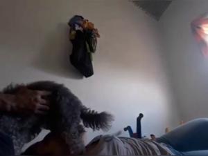 Bestial Orgies: Sluts at the Mercy of Dogs