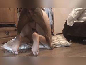 Irresistible Canine Desire: Extreme Sex Video