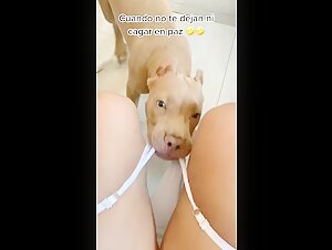 Tik Tok: Intimate Moments with My Four-Legged Best Friend