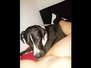 Intense Bestiality: A Woman and Her Dog