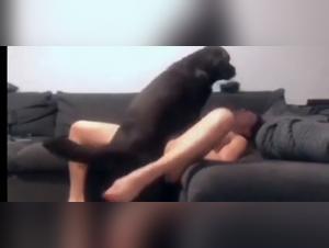 Intensiver Hund Fick: Lilys Besessenheit Hund