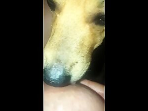 Il momento piu bello della mattina di Lambendo