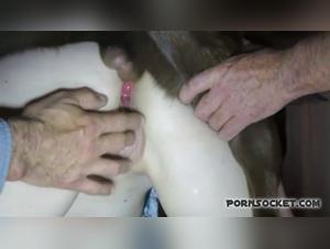 Dog devours the mature in a hardcore session part 5