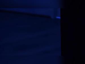 Canine Debauchery: The Feminine-Animal Extreme