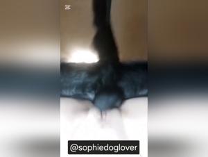 Libertinaje canino: el animal nudo en accion