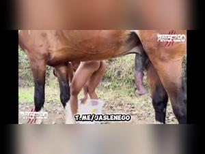 Wild Delights: Milly and the Horse in an Erotic Dance