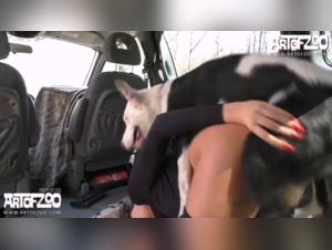 Zoophilia feminista: delicias de animales salvajes