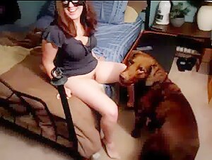 Prima esperienza con un cane