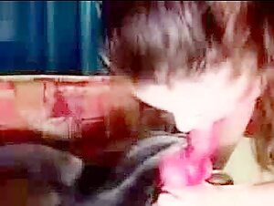 Teenage girl has fun with a dog