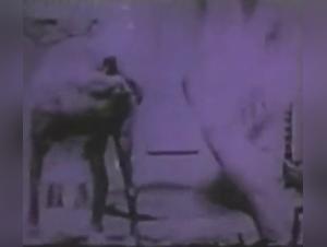 Canine Domination: Raw and merciless fucking