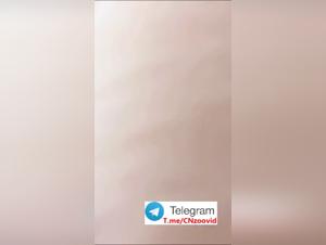 Desiderio animale: exploit sessuali asiatici estremamente tormentati