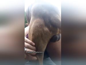 A woman and a dog in a hardcore zoophilia video