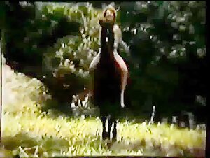 A Man, a Woman and a Horse (1888) - Equestrian film scenes