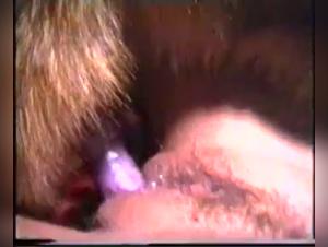 Wild zoophilia: Cat devours the female libido