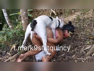 Wild Woods, Raw Desire: Canine and Human Coupling