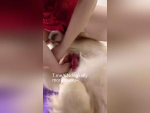 Tierisches Verlangen: Ein chinesisches Mädchen überschreitet Grenzen mit ihrem Hund