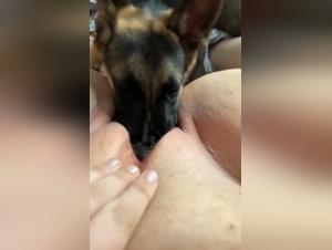 sapna  violente liaison avec chien