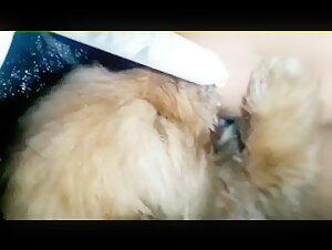 Adolescente nourrit son chiot