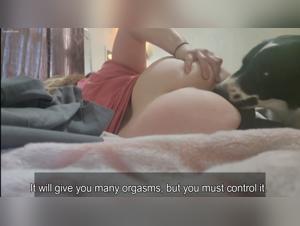 Ausschweifungen bei Hunden: Die Desillusionierung der Bestiales