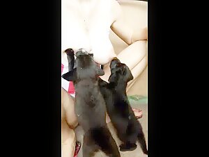 Woman Breastfeeding a Puppy 5