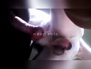 Black Woman Shares Her Zoophilia Confessions with Her Dog in Explicit Video