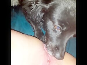 Woman and dog: a forbidden meeting