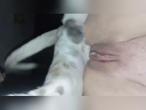 Bestial lust explosions: extreme canine creampie