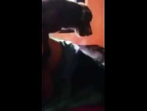 Tierische Ekstase: Bestialischer Clip