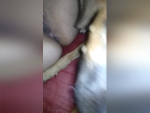 Fifi's Lickin': Part 2 - Wild Canine Action